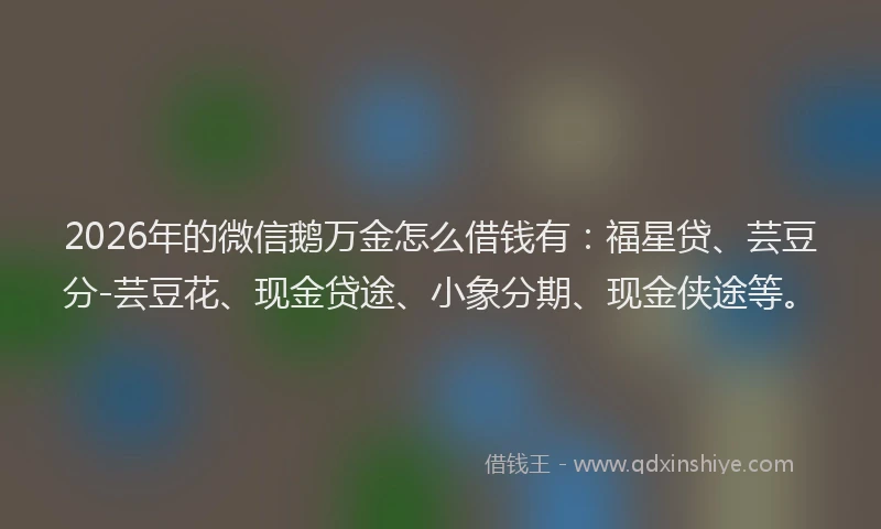 2026年的微信鹅万金怎么借钱有：福星贷、芸豆分-芸豆花、现金贷途、小象分期、现金侠途等。