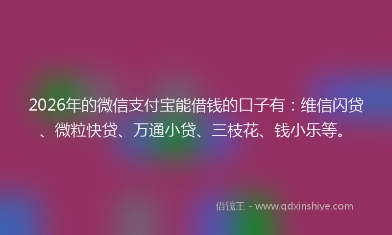 2026年的微信支付宝能借钱的口子有：维信闪贷、微粒快贷、万通小贷、三枝花、钱小乐等。