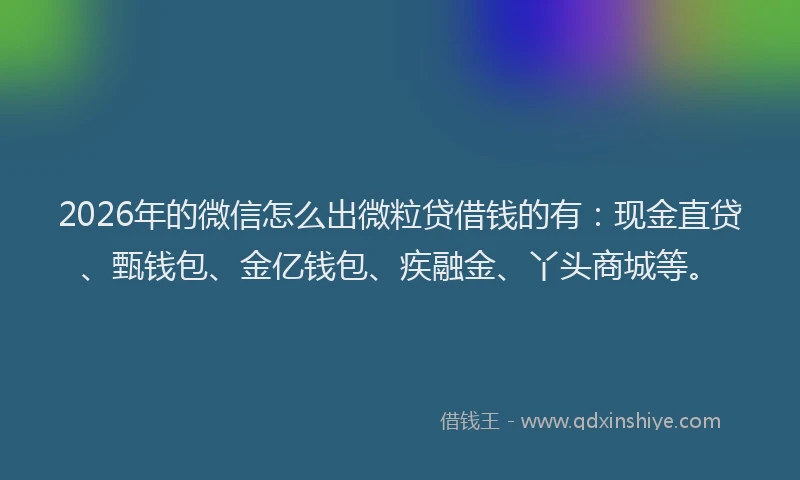 2026年的微信怎么出微粒贷借钱的有：现金直贷、甄钱包、金亿钱包、疾融金、丫头商城等。