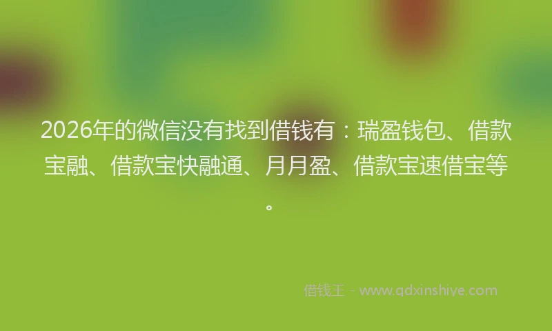 2026年的微信没有找到借钱有：瑞盈钱包、借款宝融、借款宝快融通、月月盈、借款宝速借宝等。