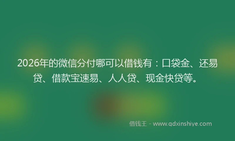 2026年的微信分付哪可以借钱有：口袋金、还易贷、借款宝速易、人人贷、现金快贷等。