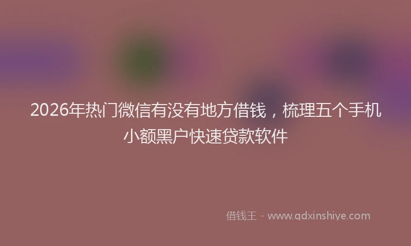 2026年热门微信有没有地方借钱，梳理五个手机小额黑户快速贷款软件
