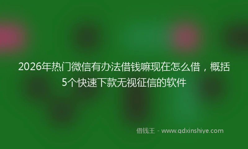 2026年热门微信有办法借钱嘛现在怎么借，概括5个快速下款无视征信的软件