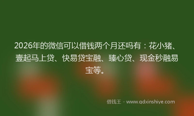 2026年的微信可以借钱两个月还吗有：花小猪、壹起马上贷、快易贷宝融、臻心贷、现金秒融易宝等。