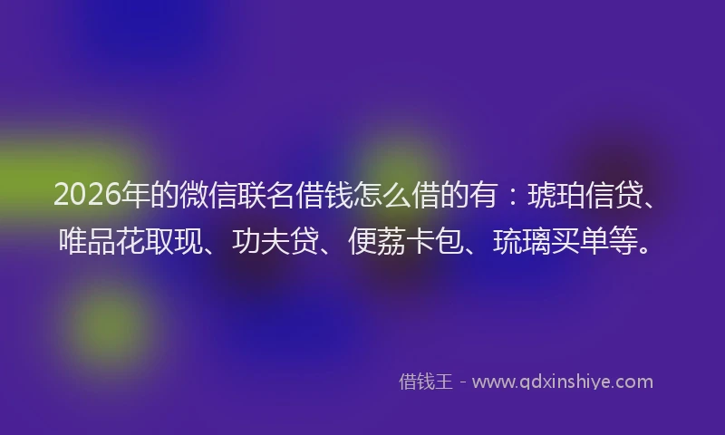2026年的微信联名借钱怎么借的有：琥珀信贷、唯品花取现、功夫贷、便荔卡包、琉璃买单等。