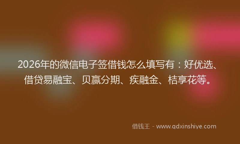 2026年的微信电子签借钱怎么填写有：好优选、借贷易融宝、贝赢分期、疾融金、桔享花等。