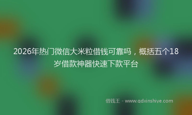 2026年热门微信大米粒借钱可靠吗，概括五个18岁借款神器快速下款平台