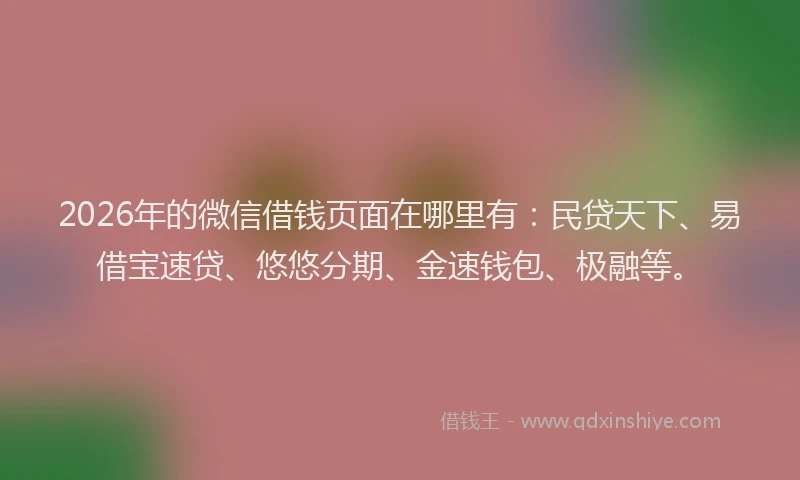 2026年的微信借钱页面在哪里有：民贷天下、易借宝速贷、悠悠分期、金速钱包、极融等。
