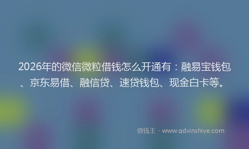 2026年的微信微粒借钱怎么开通有：融易宝钱包、京东易借、融信贷、速贷钱包、现金白卡等。