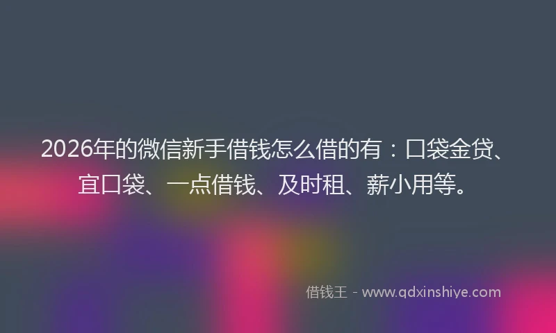 2026年的微信新手借钱怎么借的有：口袋金贷、宜口袋、一点借钱、及时租、薪小用等。