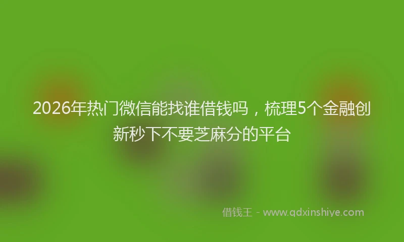 2026年热门微信能找谁借钱吗，梳理5个金融创新秒下不要芝麻分的平台