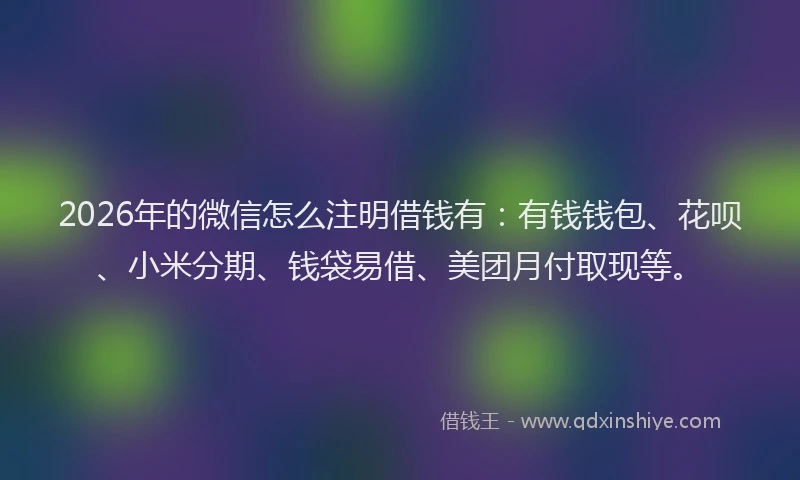 2026年的微信怎么注明借钱有：有钱钱包、花呗、小米分期、钱袋易借、美团月付取现等。