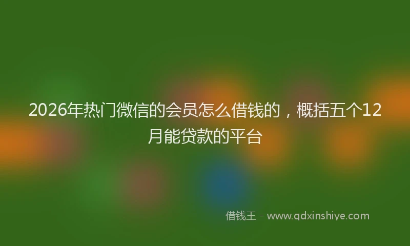 2026年热门微信的会员怎么借钱的，概括五个12月能贷款的平台