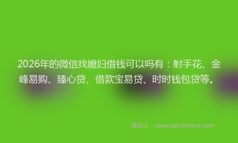 2026年的微信找媳妇借钱可以吗有：射手花、金峰易购、臻心贷、借款宝易贷、时时钱包贷等。