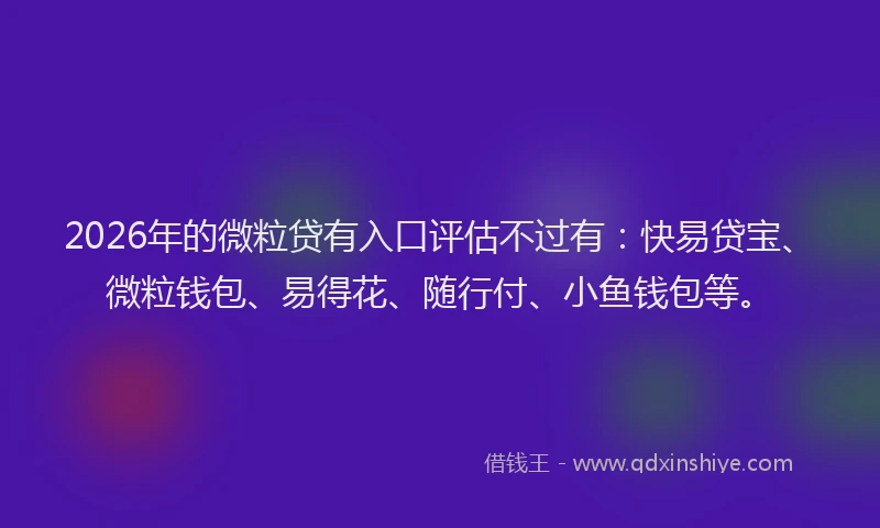 2026年的微粒贷有入口评估不过有：快易贷宝、微粒钱包、易得花、随行付、小鱼钱包等。