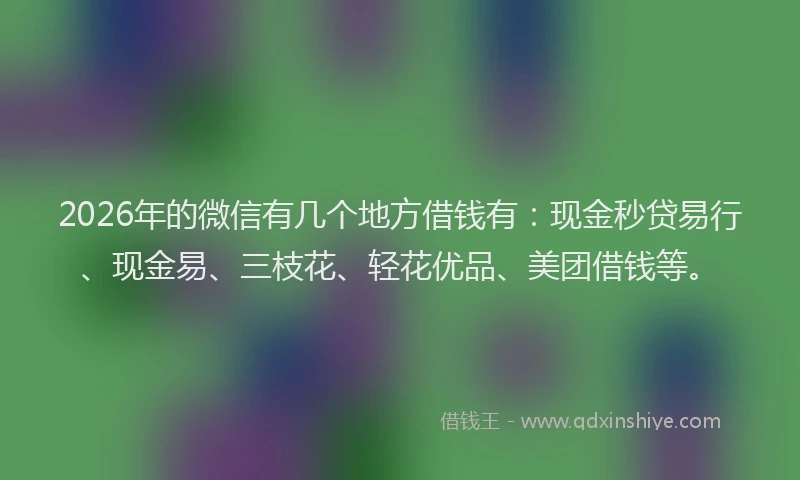 2026年的微信有几个地方借钱有：现金秒贷易行、现金易、三枝花、轻花优品、美团借钱等。