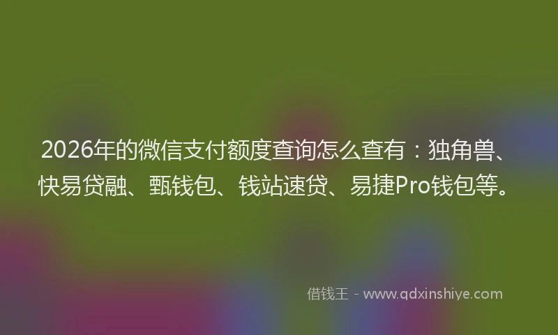 2026年的微信支付额度查询怎么查有:独角兽、快易贷融、甄钱包、钱站速贷、易捷Pro钱包等。