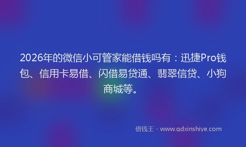 2026年的微信小可管家能借钱吗有：迅捷Pro钱包、信用卡易借、闪借易贷通、翡翠信贷、小狗商城等。