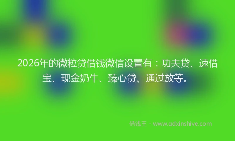2026年的微粒贷借钱微信设置有：功夫贷、速借宝、现金奶牛、臻心贷、通过放等。
