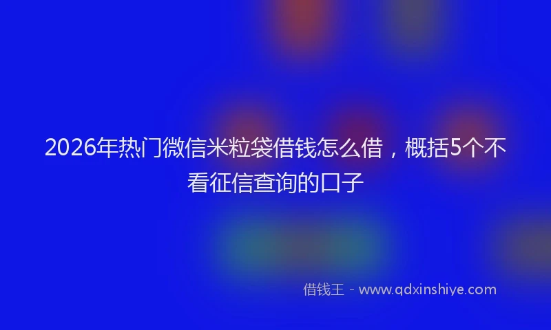2026年热门微信米粒袋借钱怎么借，概括5个不看征信查询的口子
