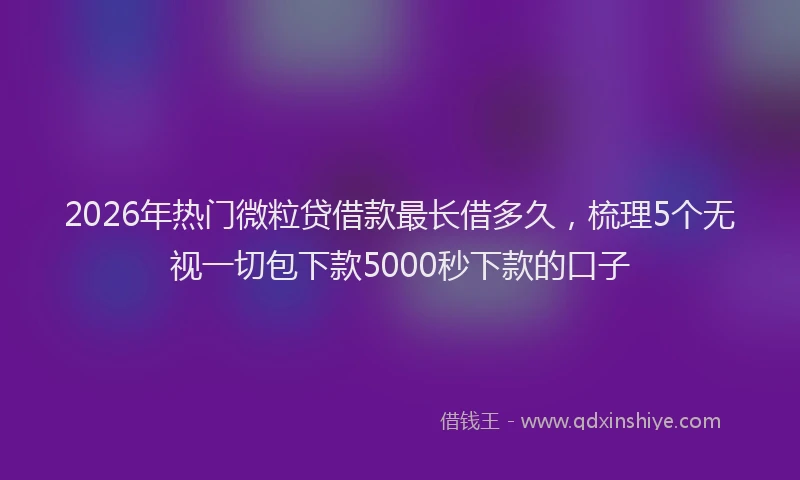 2026年热门微粒贷借款最长借多久，梳理5个无视一切包下款5000秒下款的口子