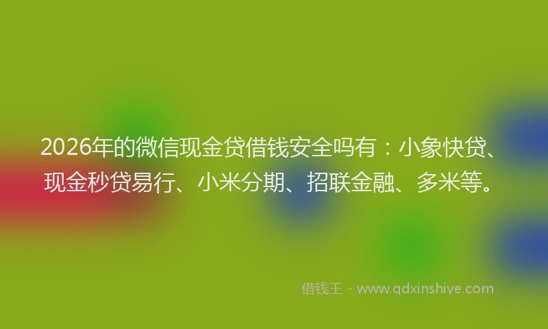 2026年的微信现金贷借钱安全吗有：小象快贷、现金秒贷易行、小米分期、招联金融、多米等。