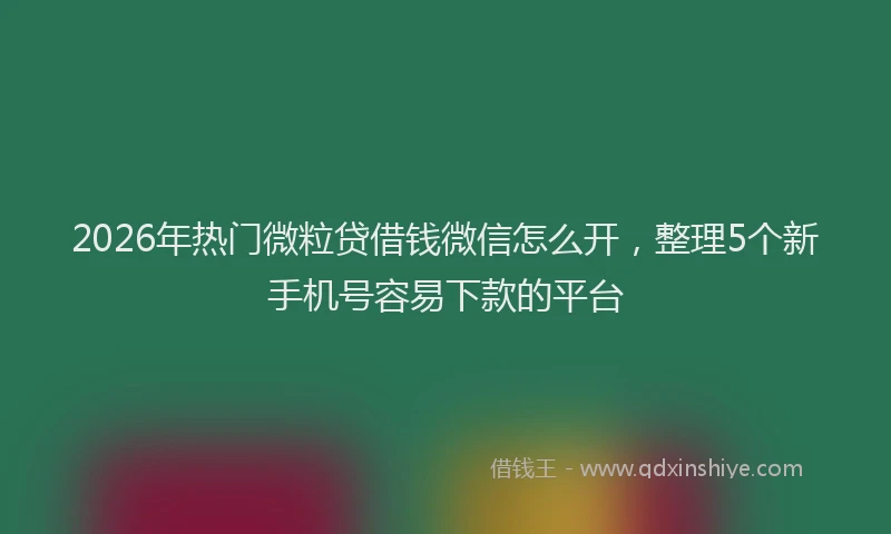 2026年热门微粒贷借钱微信怎么开，整理5个新手机号容易下款的平台