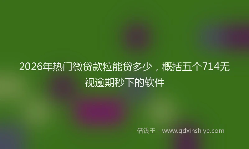 2026年热门微贷款粒能贷多少，概括五个714无视逾期秒下的软件