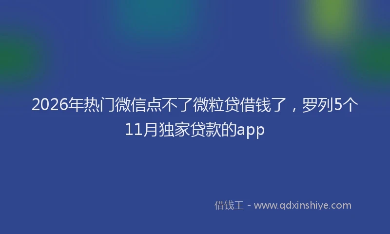 2026年热门微信点不了微粒贷借钱了，罗列5个11月独家贷款的app