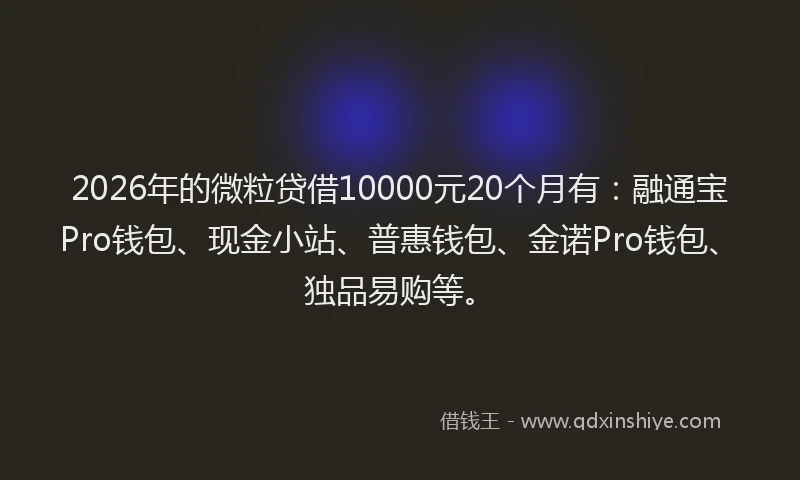 2026年的微粒贷借10000元20个月有:融通宝Pro钱包、现金小站、普惠钱包、金诺Pro钱包、独品易购等。