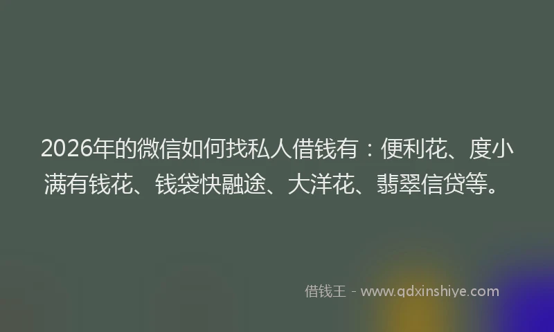 2026年的微信如何找私人借钱有：便利花、度小满有钱花、钱袋快融途、大洋花、翡翠信贷等。