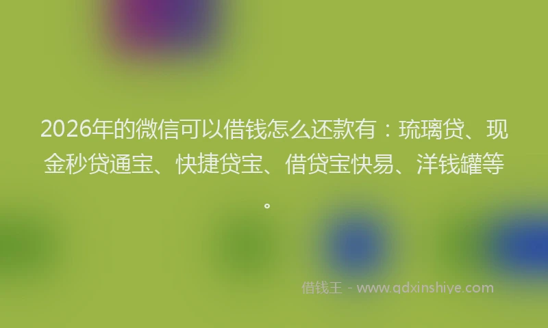2026年的微信可以借钱怎么还款有：琉璃贷、现金秒贷通宝、快捷贷宝、借贷宝快易、洋钱罐等。