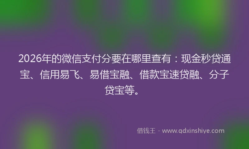 2026年的微信支付分要在哪里查有:现金秒贷通宝、信用易飞、易借宝融、借款宝速贷融、分子贷宝等。