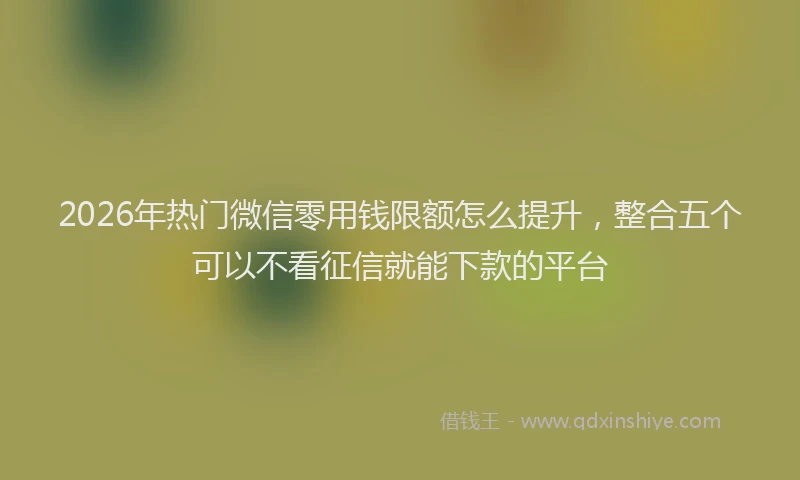 2026年热门微信零用钱限额怎么提升，整合五个可以不看征信就能下款的平台