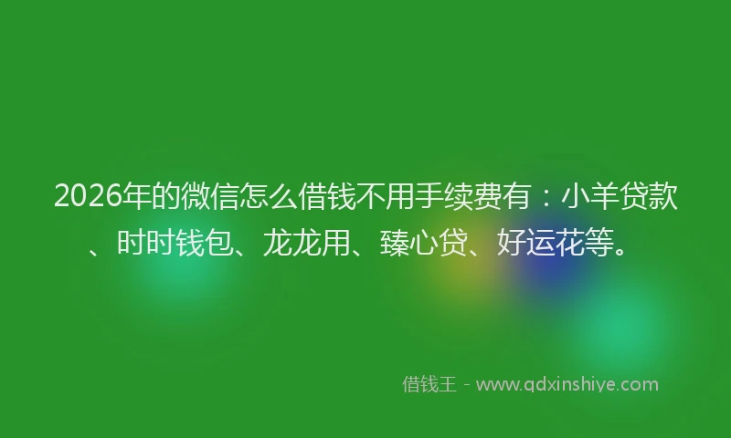 2026年的微信怎么借钱不用手续费有：小羊贷款、时时钱包、龙龙用、臻心贷、好运花等。