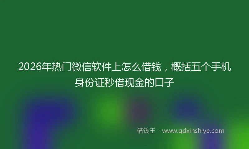 2026年热门微信软件上怎么借钱，概括五个手机身份证秒借现金的口子