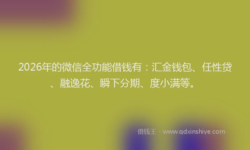 2026年的微信全功能借钱有：汇金钱包、任性贷、融逸花、瞬下分期、度小满等。