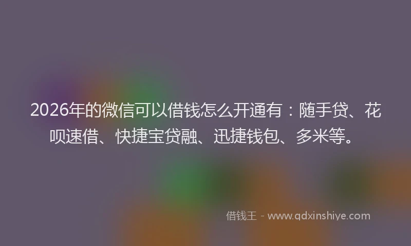 2026年的微信可以借钱怎么开通有：随手贷、花呗速借、快捷宝贷融、迅捷钱包、多米等。