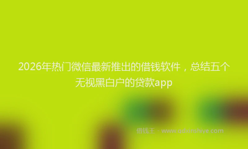 2026年热门微信最新推出的借钱软件，总结五个无视黑白户的贷款app