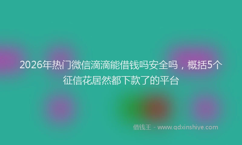 2026年热门微信滴滴能借钱吗安全吗，概括5个征信花居然都下款了的平台