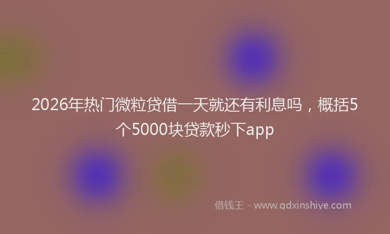 2026年热门微粒贷借一天就还有利息吗，概括5个5000块贷款秒下app