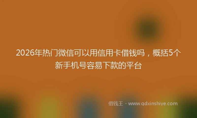 2026年热门微信可以用信用卡借钱吗，概括5个新手机号容易下款的平台