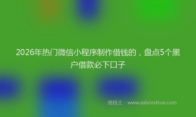 2026年热门微信小程序制作借钱的,盘点5个黑户借款必下口子