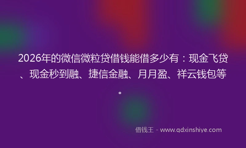 2026年的微信微粒贷借钱能借多少有：现金飞贷、现金秒到融、捷信金融、月月盈、祥云钱包等。