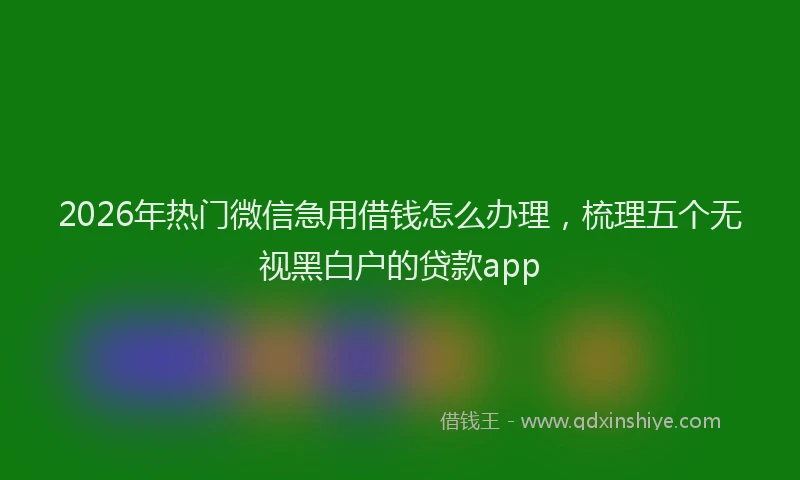 2026年热门微信急用借钱怎么办理，梳理五个无视黑白户的贷款app