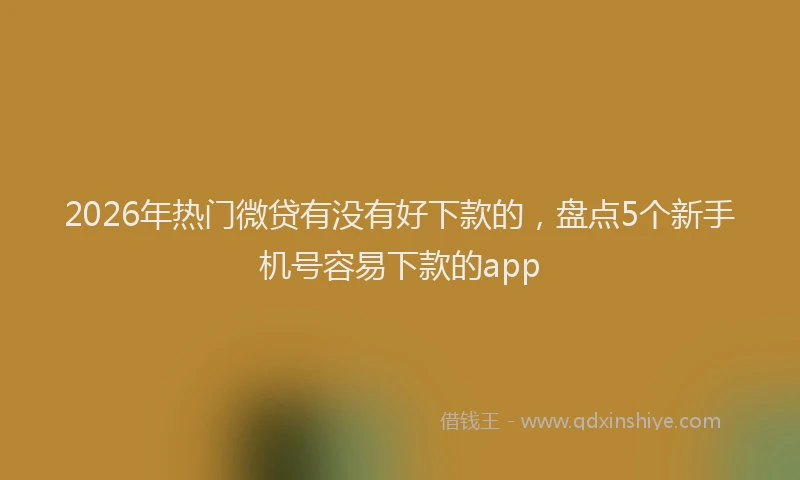 2026年热门微贷有没有好下款的，盘点5个新手机号容易下款的app