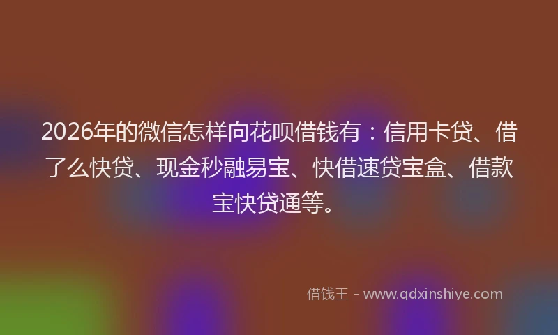 2026年的微信怎样向花呗借钱有：信用卡贷、借了么快贷、现金秒融易宝、快借速贷宝盒、借款宝快贷通等。