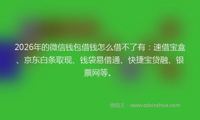 2026年的微信钱包借钱怎么借不了有：速借宝盒、京东白条取现、钱袋易借通、快捷宝贷融、银票网等。