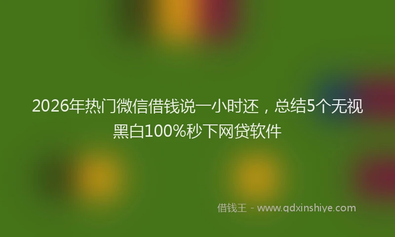 2026年热门微信借钱说一小时还，总结5个无视黑白100%秒下网贷软件