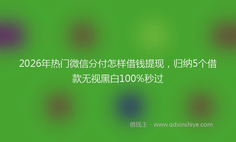 2026年热门微信分付怎样借钱提现,归纳5个借款无视黑白100%秒过